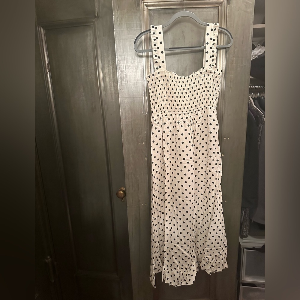 Zara polka dot maxi dress